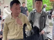 Khỉ nhện và nhân viên sở thú 'giật tóc' nhau gây sốt mạng Trung Quốc