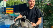 Khởi nghiệp nuôi cua đinh từ hơn 40 triệu đồng, thanh niên Sóc Trăng thu nhập khá