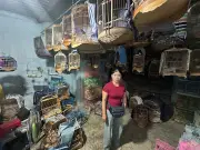 Khởi tố đối tượng đưa hối lộ trong vụ nhốt trái phép động vật hoang dã