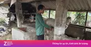 Khởi tố đối tượng trộm hai con ngựa bạch tại Bắc Ninh