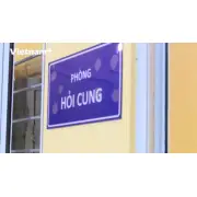 Khởi tố nhóm đối tượng vi phạm quy định đấu giá tài sản