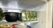 Khi trẻ nghỉ hè: Áp lực và niềm vui trong gia đình hiện đại