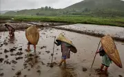 Khám phá ngôi làng ẩm ướt nhất thế giới tại Ấn Độ