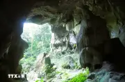 Khám phá vẻ đẹp hang động Thẳm Tổng Nọi tại thung lũng Bình Chuẩn Nghệ An