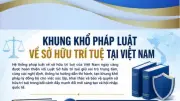 Khủng hoảng pháp luật về sở hữu trí tuệ tại Việt Nam