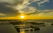 Kho báu sinh thái miền Trung: Đầm phá Tam Giang – Cầu Hai và khát vọng phát triển bền vững
