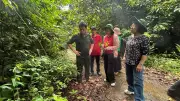 Kho dược liệu quý dưới tán rừng Vũ Quang đang bị lãng quên