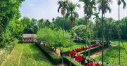 Khu di tích Kim Liên: Nơi lưu giữ giá trị đặc biệt về Bác Hồ