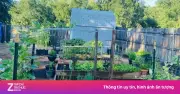 Khu vườn đậm chất miền Tây ở Mỹ gây sốt MXH