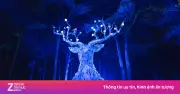 Khung cảnh cổ tích tại rừng ánh sáng Đà Lạt bên hồ Than Thở