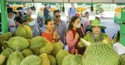 Lễ hội trái cây Nam bộ lần thứ 22: 'Thanh âm dòng phù sa' khai mạc ngày 31/5