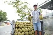 Lễ hội trái cây Đồng Tháp lần đầu tiên với nhiều hoạt động đặc sắc
