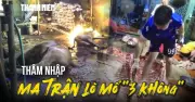 Lò mổ '3 không' ở Phú Thọ: Biến bò bệnh thành thịt tươi không kiểm dịch