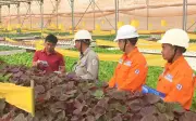 Lịch cúp điện An Giang từ 7/10-5/2026: Cúp điện từ 10-13 tiếng, hàng loạt khu dân cư bị ảnh hưởng