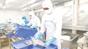 Linh hoạt thích ứng, doanh nghiệp thủy sản vượt khó