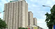 Làm dự án nhà cho thuê: Trăm thứ khó, nhà đầu tư hiến kế thóc ở đâu bồ câu đầy