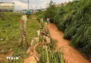 Lâm Đồng khẩn trương tìm kiếm bé gái lớp 6 bị nước lũ cuốn trôi