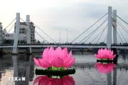 Lâm Đồng thắp sáng 7 đóa đại hoa sen trên sông Cà Tỷ mừng Phật Đản