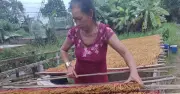Làng nghề se nhang Lê Minh Xuân đổi thay nhờ điện lưới thành phố