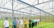 Lào Cai đẩy mạnh giảm nghèo thông tin, chuyển đổi số cho người dân vùng cao