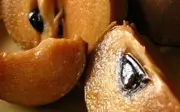Loại quả dân dã là 'thuốc bổ tự nhiên' tốt cho sức khỏe và da