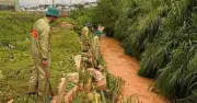 Đà Lạt: Bé gái 13 tuổi bị lũ cuốn mất tích khi qua cầu suối