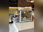Mẹ 9x mang quán hủ tiếu gõ vào bếp nhà để chiều sở thích các con