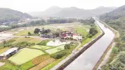 Mô hình kinh tế hiệu quả từ thế mạnh địa phương ở Đà Nẵng