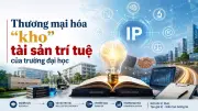 Mô hình Lab to Market: Đưa sáng chế Việt từ phòng thí nghiệm ra thị trường