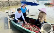 Mô hình nuôi hàu treo mở hướng sản xuất mới tại cửa sông Hà Tĩnh