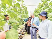 Mô hình trang trại Israel giúp nâng cao chất lượng nông sản Việt