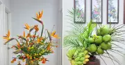 Mẹ đảm trổ tài: Cắm bình hoa 0 đồng làm dịu căn nhà mùa nắng nóng