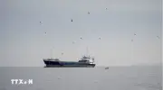 Mỹ tạm dừng chiến dịch hộ tống tàu qua eo biển Hormuz