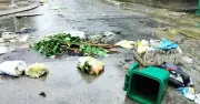 Mưa lớn gây ngập lụt, rác thải tràn ngập đường phố Thanh Hóa