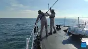 Malaysia: Số người thiệt mạng trong vụ chìm thuyền di cư tăng lên 16