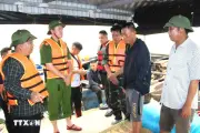 Móng Cái ngăn chặn lấn chiếm bãi triều, bảo vệ tài nguyên biển