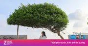Măng Đen, Phú Quý thắng đậm mùa nghỉ lễ Giỗ Tổ và 30/4-1/5