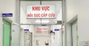 Một người tử vong, 5 bệnh nhân điều trị tích cực sau khi ăn cánh nấm rừng