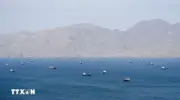 Một số nước châu Âu đàm phán với Iran về lưu thông qua eo biển Hormuz