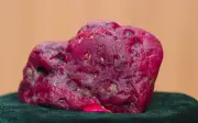 Myanmar phát hiện hồng ngọc 11.000 carat tại Mogok, gây chấn động giới đá quý