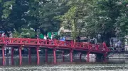 Đàn chim hoang dã kéo về Hồ Gươm, tín hiệu môi trường sinh thái cải thiện