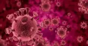 Nam thanh niên nhiễm virus gây ung thư vì tình một đêm