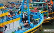 Đồng bộ nhận diện tàu cá tại Lâm Đồng, hướng tới nghề cá bền vững
