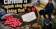 Đường dây buôn lậu 50 tấn caffeine: Nguyên liệu sản xuất ma túy ya ba
