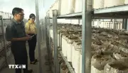 Đồng Nai phát triển nông nghiệp hiện đại trong thời đại số