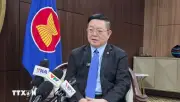 Ứng phó một cách tự cường là chìa khóa phát triển của ASEAN