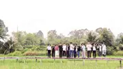 Ông Tư lúa mùa: Hành trình bảo tồn giống lúa cổ và văn hóa lúa nước miền Tây