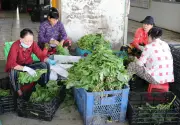 Đồng Tháp tạo sinh kế giúp hộ khó khăn thoát nghèo