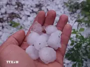 Đề nghị các địa phương chủ động ứng phó với lốc, sét, mưa đá và sạt lở đất