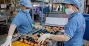 Nghịch lý càng làm càng lỗ: Doanh nghiệp chịu áp lực lãi suất cao